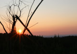 Alabama Sunset