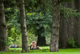 Reading in the Woods