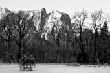 Yosemite Falls meadow