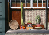 Window Dressing