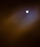 Moonlight