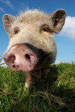 4th Place<br>Close Encounter<br>by Rob