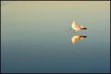 *Alone*