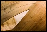 oak (*)
