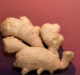 Gingersaurus