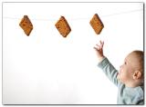 <b>8th Place</b><br>Koekhappen *<br>by Rob
