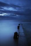 <b>3rd Place</b><br>Burnham Blue *<br>by Adam Clutterbuck
