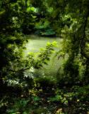 * CrocharonPond