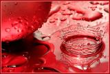 Splash of Red 3 *