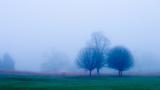 * A Foggy Day