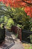 Autumn Leaves *