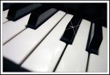 <b>10th Place</b><br>*Piano Man*<br>by Mr. Biscuit