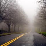 <b>8th Place</b><br>misty road *<br>by theFly