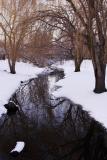 Reflections *