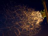 <b>1st Place</b><br>Bug Graffiti<br>by Andrew Chatman