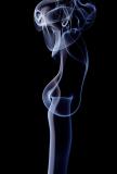 <b>3rd Place</b><br>Delicate Chaos<br>by RK