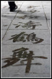Water Caligraphy on Sidewalk*