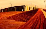 <b>7th Place</b><br>Bored Walk?<br>by Lonnit Rysher