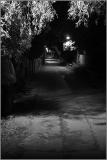 Menace in the shadows *