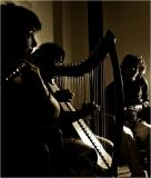 <b>10th Place</b><br>Irish Music2<br><i>by Michael Kilpatrick</i>