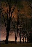 <b>5th Place</b><br>yet to be named<br><i>by kt</i>