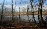 <b><i>8th Place</i></br>Landscape</b></br>By elips