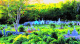 Village of The Dead  II  * Traveller