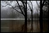 <b><i>10th Place</i></br>lady of the lake</b></br>By kt