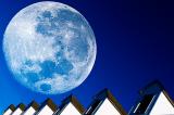 * Lunatics Blue Moon