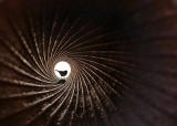 <b><i>2nd Place</i></br></b>Tomtit 007</br>by  MCsaba<b>