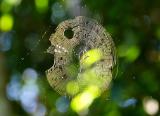 Theres a Hole In My Circle  *  Traveller