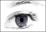 Pupil*