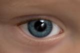 I spy with my little eye... *
