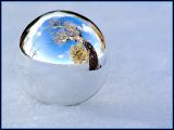 <b><i>1st Place</i></br></b>Snowball</br>by  Jim H.<b>