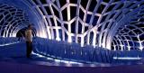 <b>12th Place</b><br>Round the Bend *<br><i>by Nifty</i>