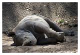 NapTime *