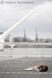 <b>10th Place</b><br>Resting in the City *<br>by Burger_BMX