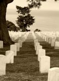 <b>12th Place</b><br>Final Resting Place *<br>by Larry