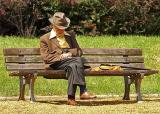 <b>8th Place (tie)</b><br>Relaxing on the bench *<br>by MCsaba