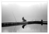 <b>4th Place</b><br>solitary fisherman<br>by Arn