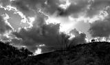 After the Storm