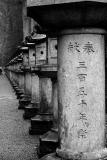 Lantern Pathway*
