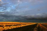 Rio Gallegos to Calafate