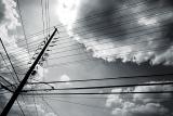 pole