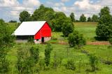 The Red Barn *