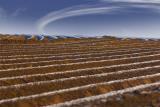 <b>7th Place</b><br>Winter Field<br>by imacken