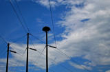 Nest