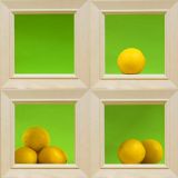 <b>8th Place</b><br>Oranges in Squares<br>by jnconradie