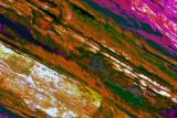 painted rocks