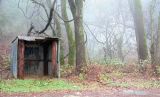 Bus Stop